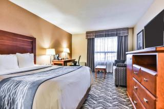 Comfort Inn & Suites Ambassador Bridge - 5