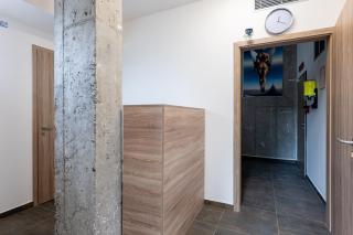 New studio apartment #23 in brutalist building FREE street parking - 5