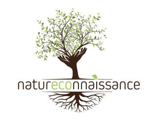 Gîte Centre Santé Bien-être Naturéconnaissance - 7