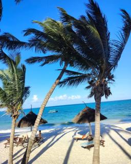 The Diani Nest - 0