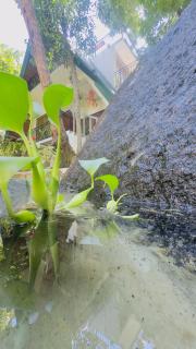 Thesrilankaman village - 9