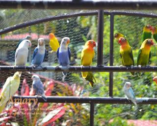 Galera Lodge & Cafe - 3