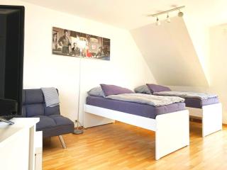 Apartment mit Dachterrasse nahe Zwickau - 6
