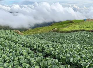 Mt Pulag Trekkers Homestay - 7
