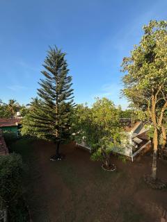 The Big Cat's Den - Maravakandy Resort, Masinagudi - 0