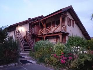 Bright 2-bedroom apartment between Geneva, CERN and Jura - 7