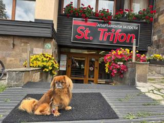 St Trifon Guests Apartments - 8