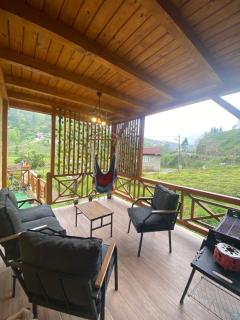 bera bungalov suit - 4