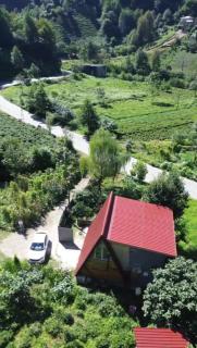 bera bungalov suit - 8