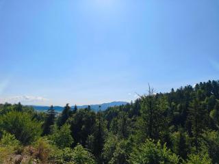 Apartment Cankar's View - 5