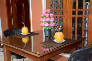 Kingfisher Inn Tissa - Yala Safari Gateway - 8