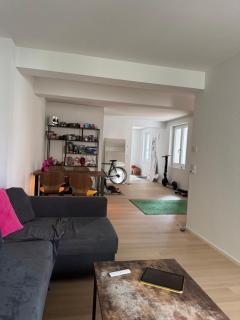 fröschli zimmer in coolem grosszügigen loft - 5