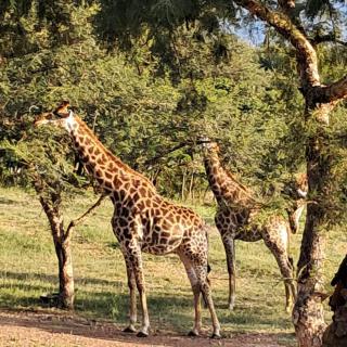 1 Bedroom on Wildlife Estate White River - 3