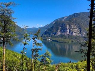 Landhaus am See - Obertraun - Salzkammergut - 3