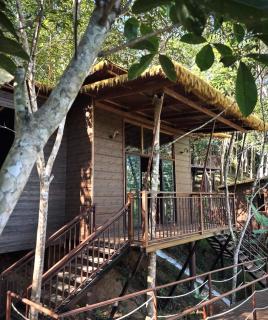 Khao Sok Jungle Roots Resort - 0