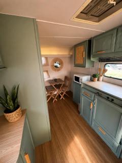 Caravana Lobo Camp - 0