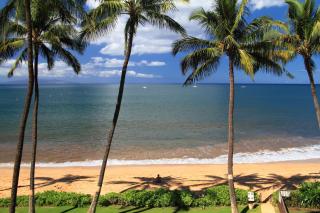 KIHEI BEACH, #402 - Kihei - 4
