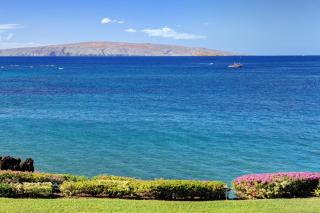 MAKENA SURF, #F-202 - 4