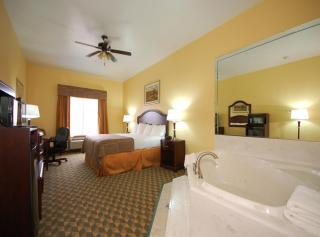Best Western Plus Manvel - Manvel - 6