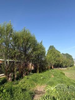 Kok-Zhar Guesthouse - 6