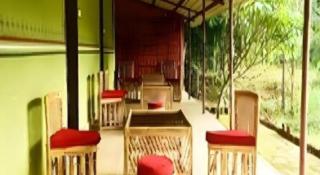 Bastar Jungle Resort - 8
