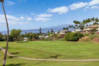 WAILEA GRAND CHAMPION, #78 - 4