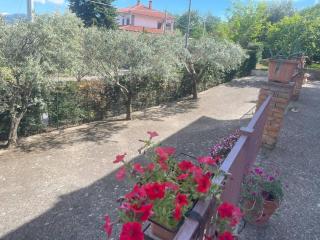 Villa Maria B&B - 4