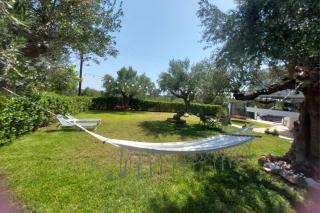 Olive Harmony House - 6
