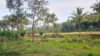 Kalisawah - Nyaman Camp - 1