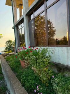Nino's Guesthouse - 2