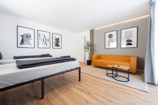 Modern Design Apartment with flex- beds near Basel - 2
