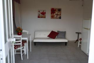 Frantoio Pistelli - 7