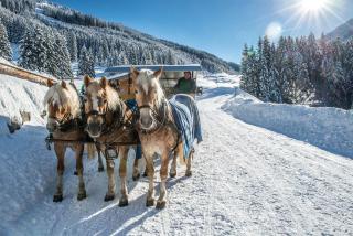 Das Lind by Inncomer - 4