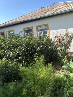 Ata Konush , Retro Guest House - 4