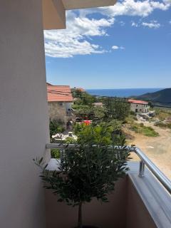 Apartman Vaso - 8