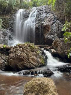 Tat Tvam Asi Organic Farm Stay - Bulbul - 7