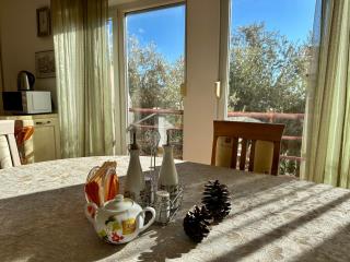 Rose Apartment Petrovac - 6