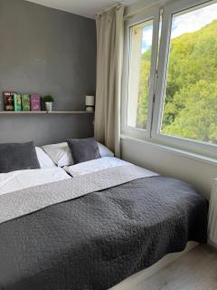 Apartmánový byt VYHNE - Vyhne - 6