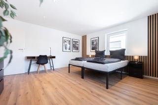 Large Design Apartment near Basel, Work and Stay - 8