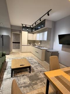 Spacious apartment in the heart of Baku - 4