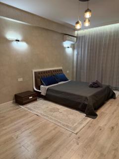 Spacious apartment in the heart of Baku - 1