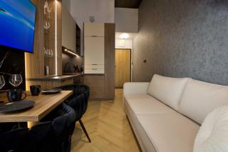 Kościuszki Spa Apartament Free Parking - 5