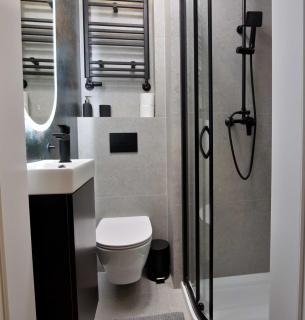 Kościuszki Spa&Sauna Apartament Free Parking - 1