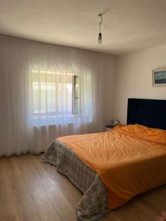 Casa Rodica - 6