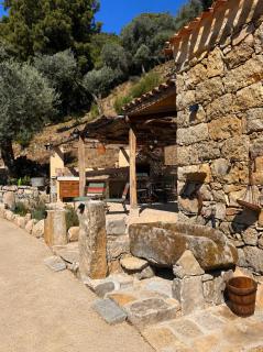 Bergerie de Pio au cœur d une oliveraie ancienne vue sur les Aiguilles de Bavella - Zoza - 7