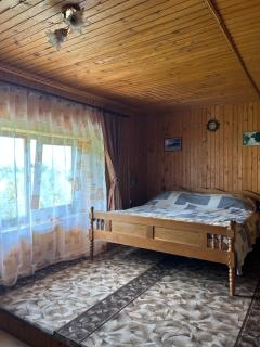 Буркут - 9