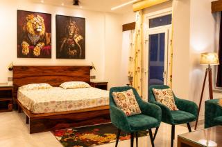 Luxe Wildlife Theme Studio With Cinema Projector - 0