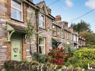 Wenallt Cottage - 0