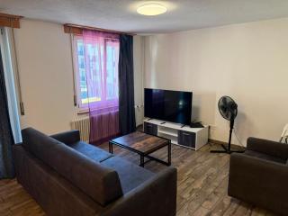 Family friendly Apartment in the heart of Interlaken - 9