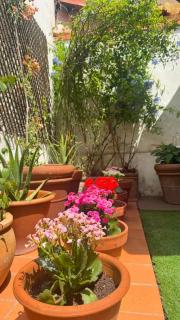 Il Giardino di Ele - 3